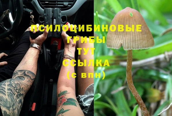 jwh Михайлов