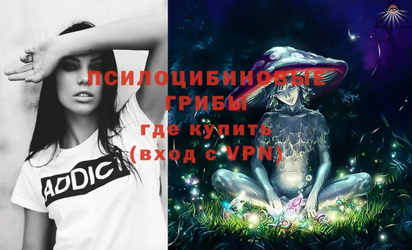 apvp Михайловск