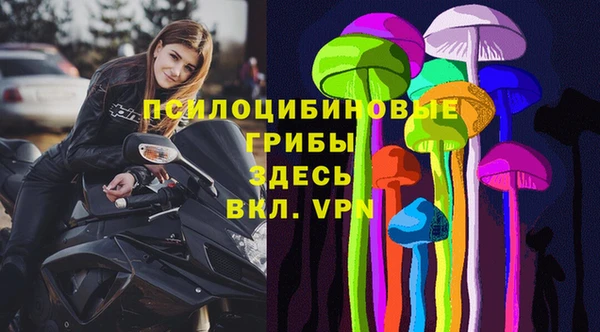 apvp Михайловск